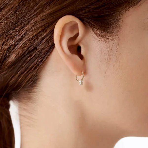 Boxed Diamond Earring 01 R^Shihara Best