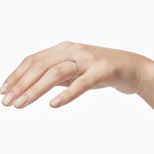 Classic Ring 02^Shihara New