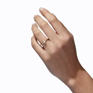 Classic Ring 02^Shihara New