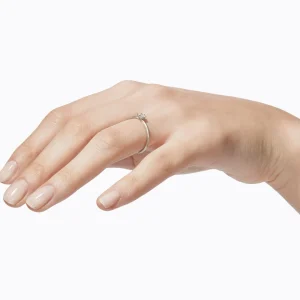 Classic Ring 02^Shihara New