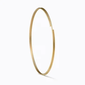 Double Hoop Earring 50^Shihara New