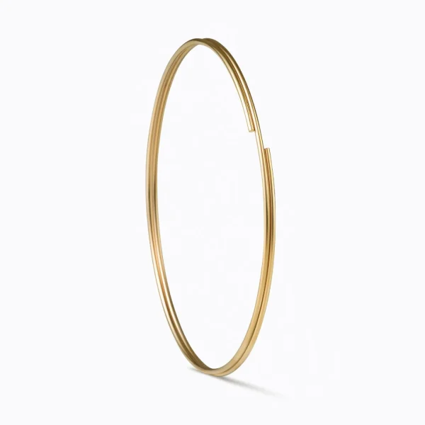 Double Hoop Earring 50^Shihara New