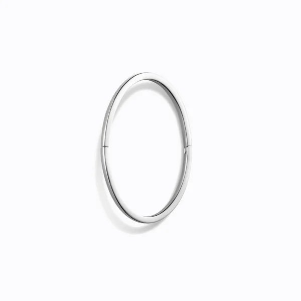 Form Earring 20（01）^Shihara Hot