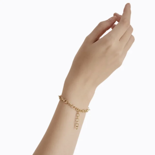Link Bracelet 02^Shihara Best