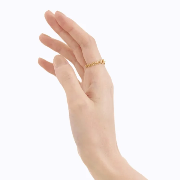 Link Ring 01^Shihara Clearance
