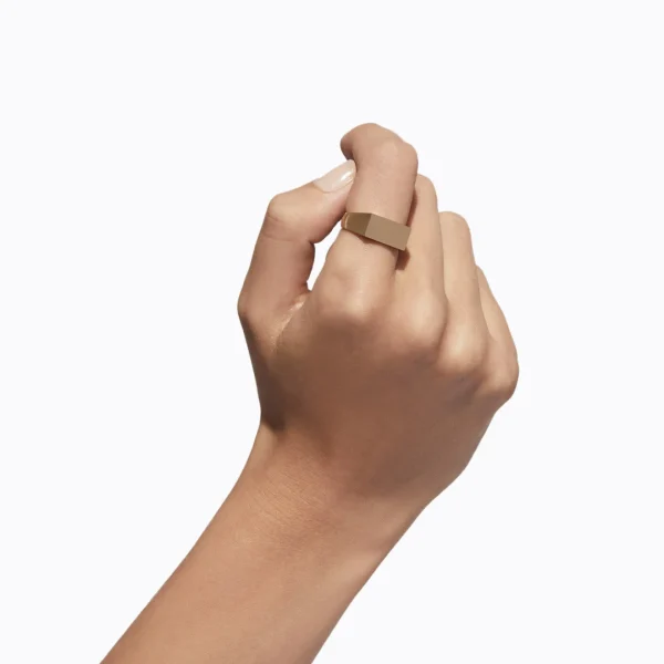 Signet Rectangle Ring L^Shihara Outlet