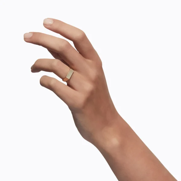Signet Rectangle Ring S^Shihara Best